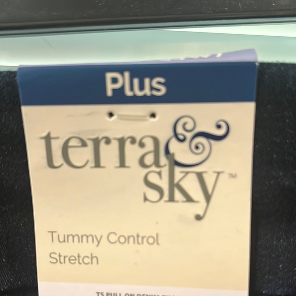 Terra & Sky Plus Size Stretch Shorts - Dark Navy
